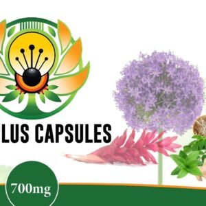 IMMUNEGENTZ Tibaplus capsules (60 capsules)