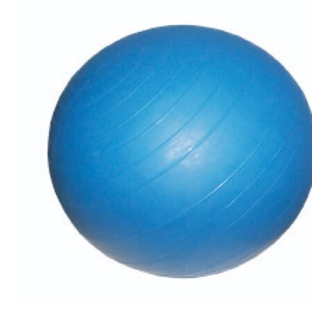 Physio Ball