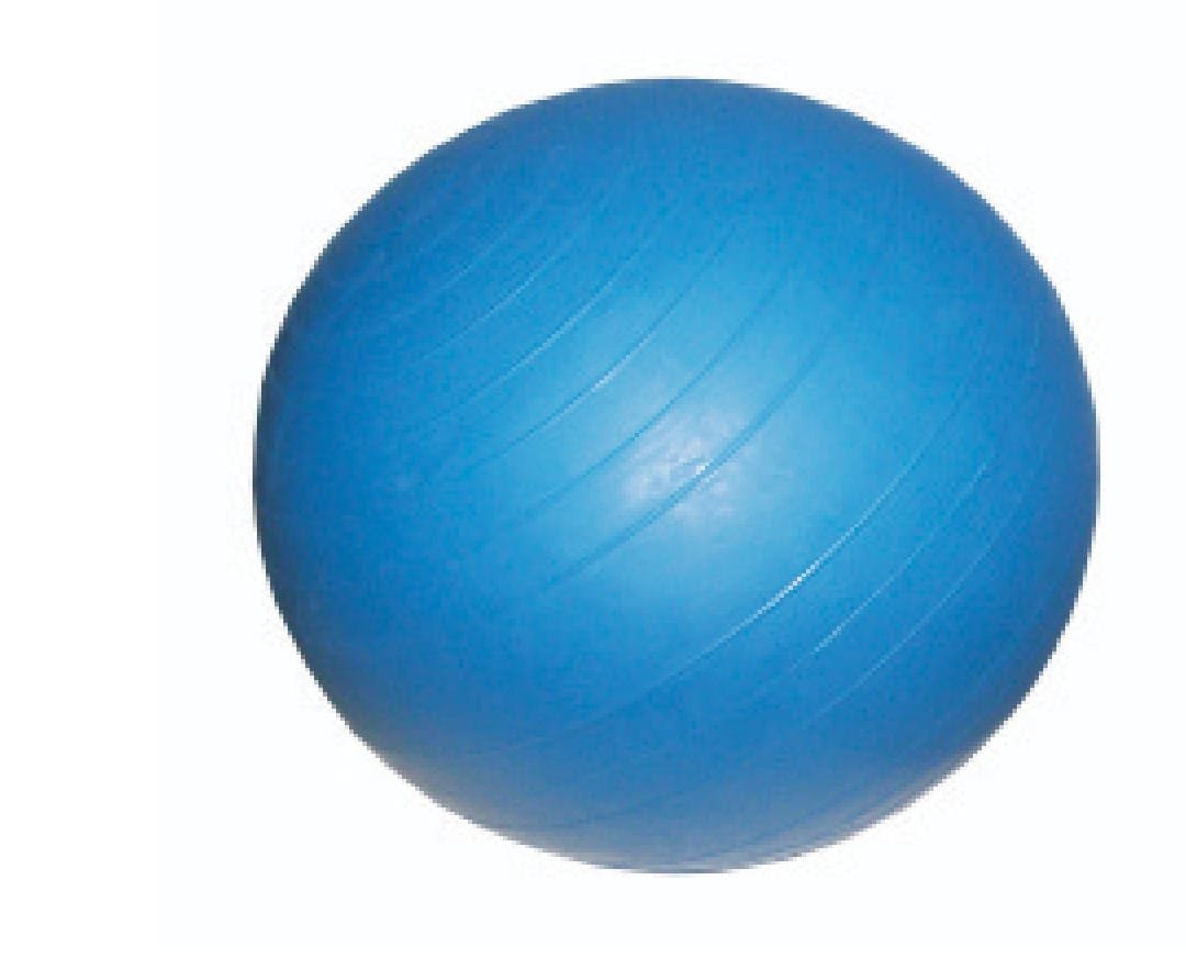 Physio Ball