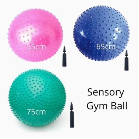 Sensory Gym Ball