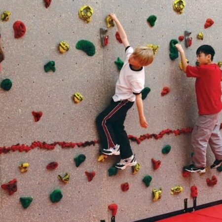 Wall Rock Climbing Panel with holds